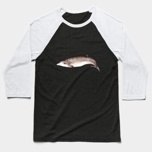 Beaked whale Baseball T-Shirt